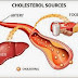 US Declares War On Cholesterol