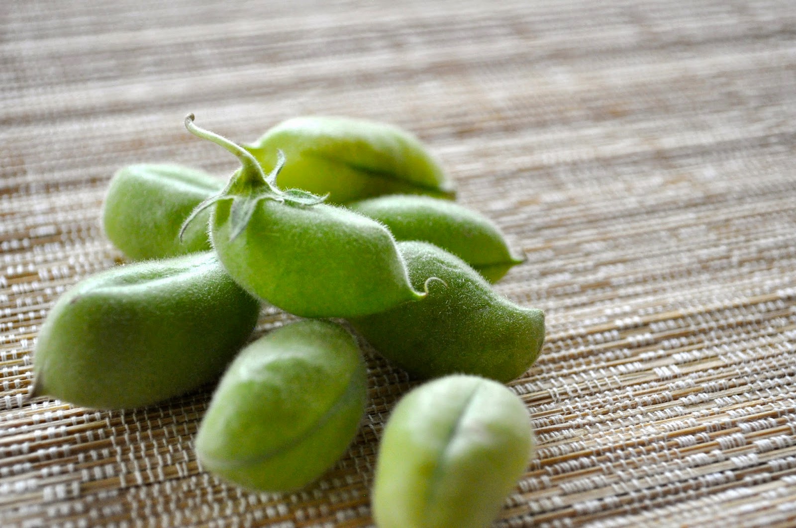 Cooking with Meena Fresh Garbanzo Beans Salad