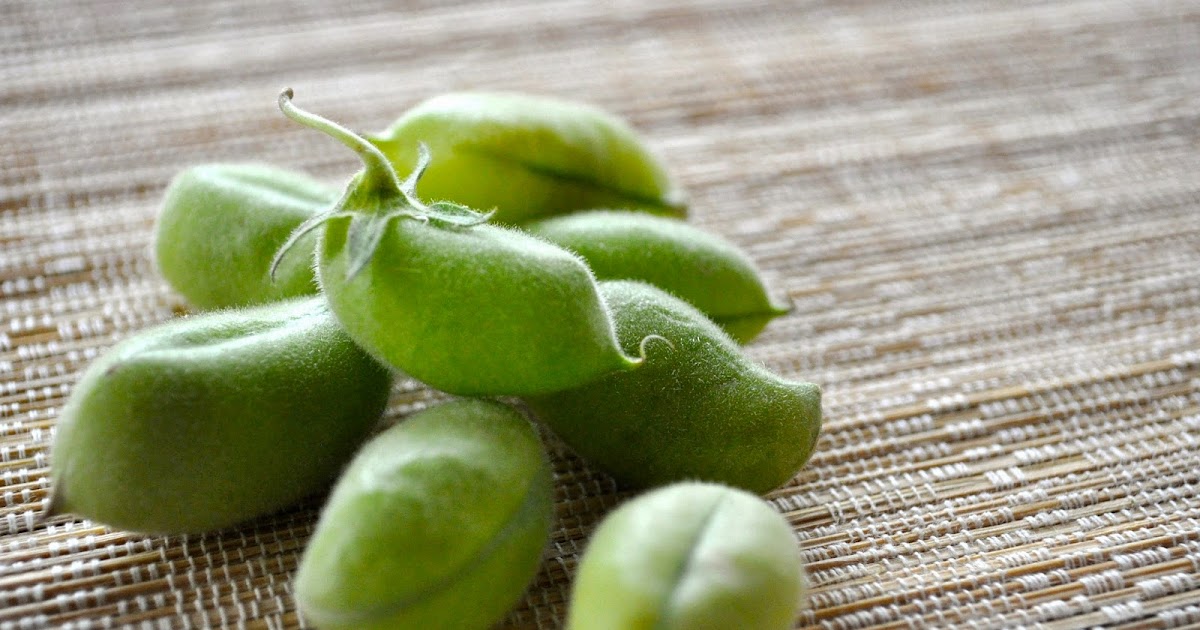 Cooking with Meena Fresh Garbanzo Beans Salad