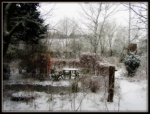 terug sneeuw in de tuin