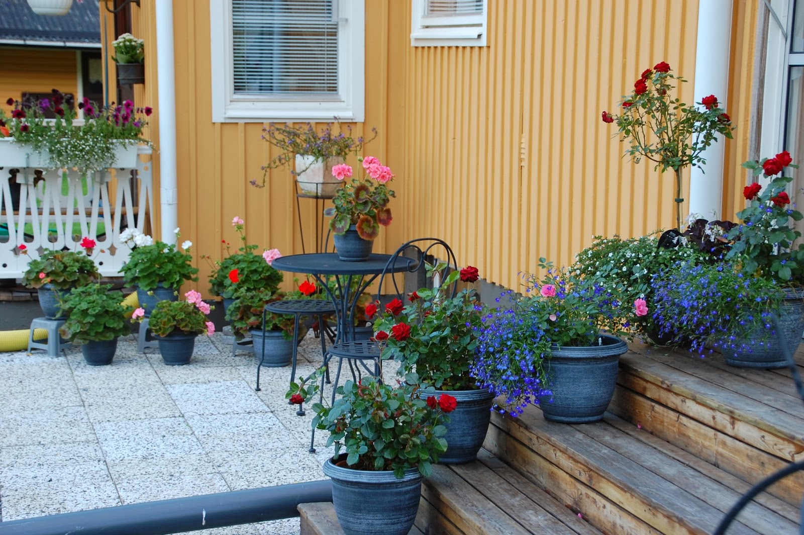 Svanå trädgård: mars 2014