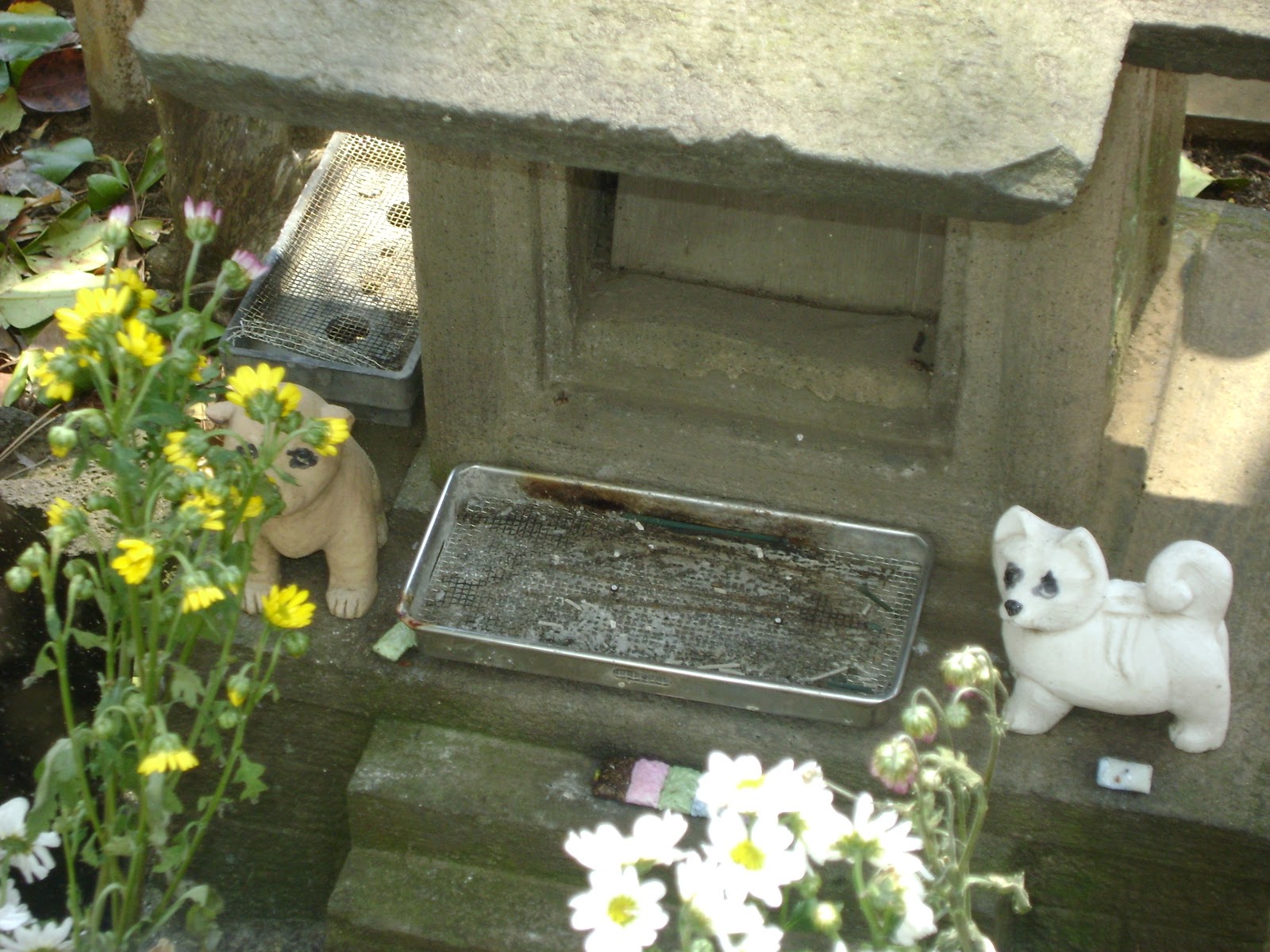 Japan Letsgo Hachiko's Grave
