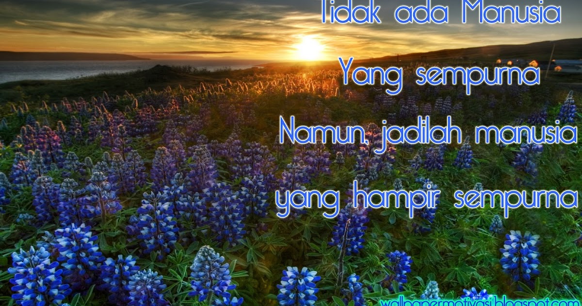 Image Result For Kata Mutiara Indah Islami Tentang Cinta Image Result For Kata Mutiara Indah Islami Tentang Cinta