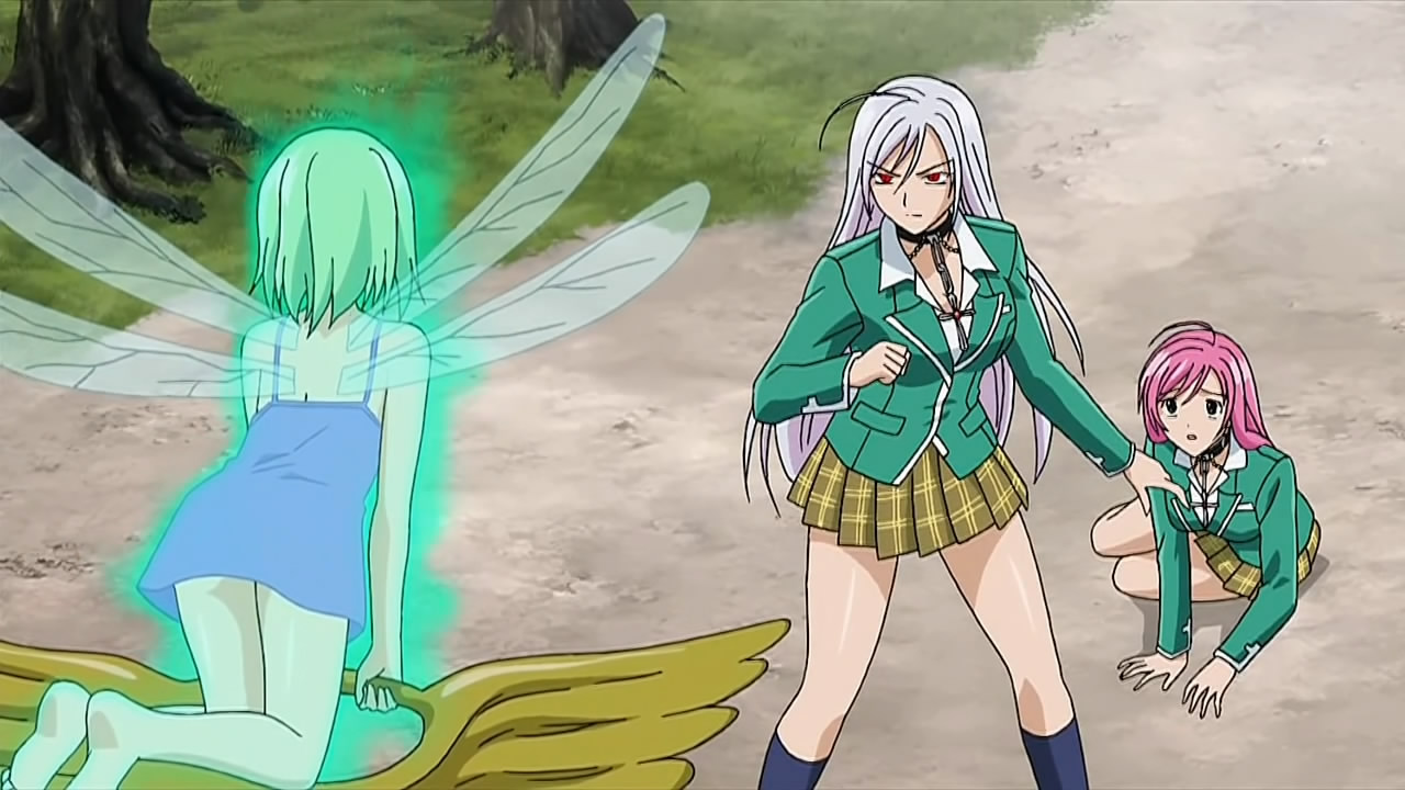 As you guys can see, Rosario + Vampire has quite a wide range of female cha...