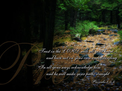 Proverbs 3:5-6 Bible Verse