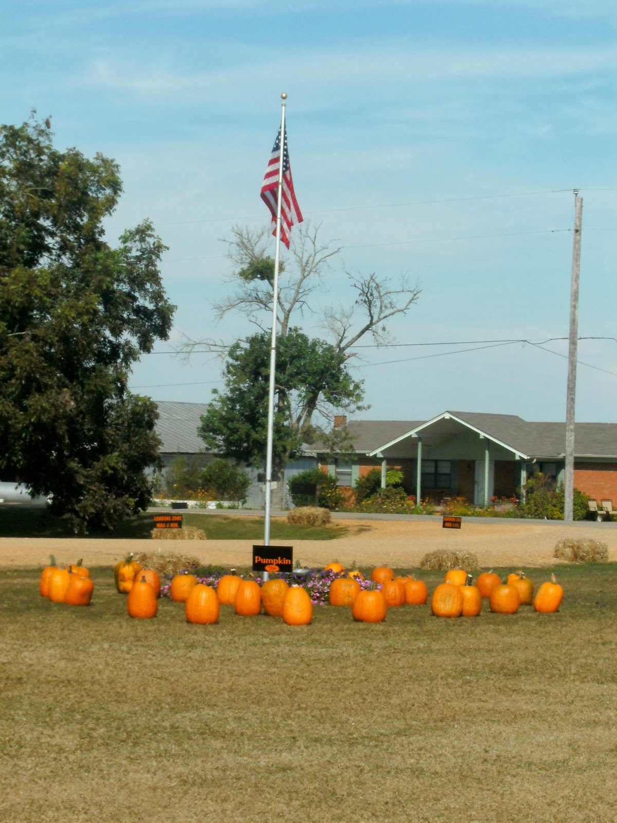 Southern Soul The Pumpkin Patch