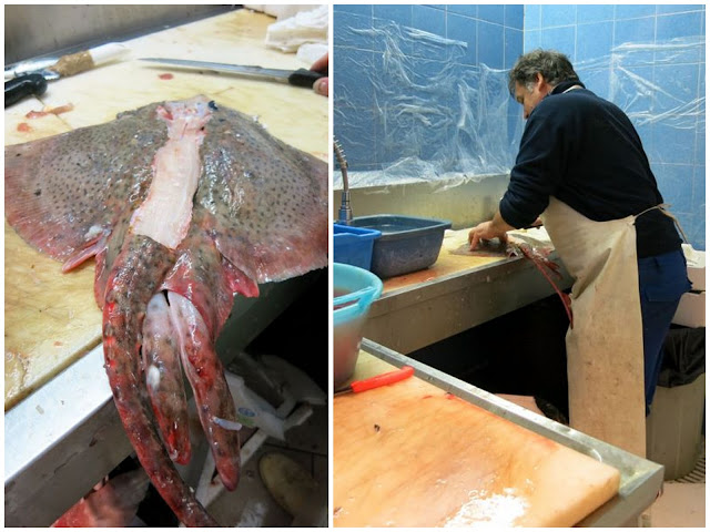 Fish Store in Rome Galuzzi