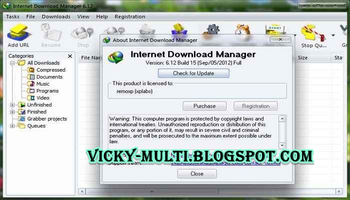 Internet Download Manager 6:15 Build 14 latest IDM 2013