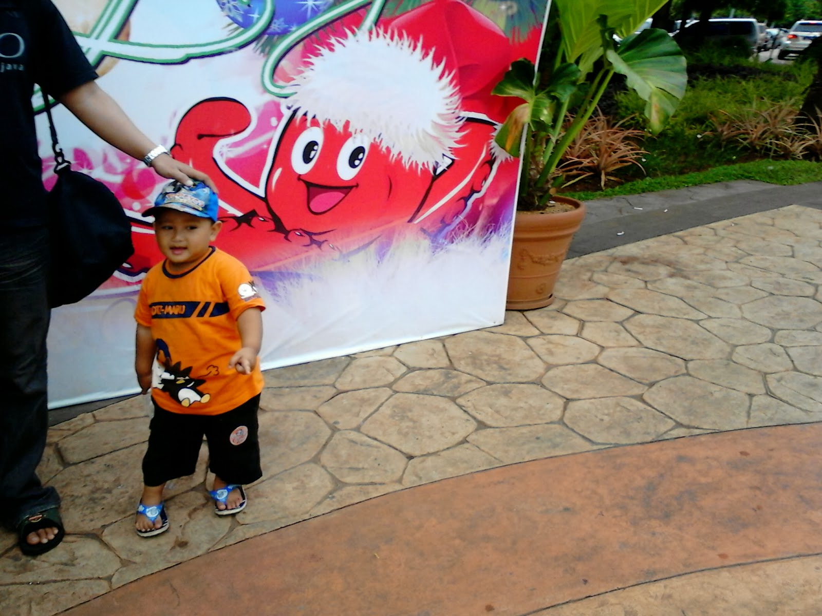 Swim mania at Ocean Park BSD