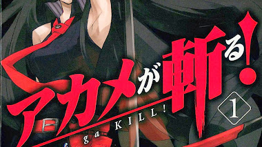 Akame ga Kill! 56/?? Manga