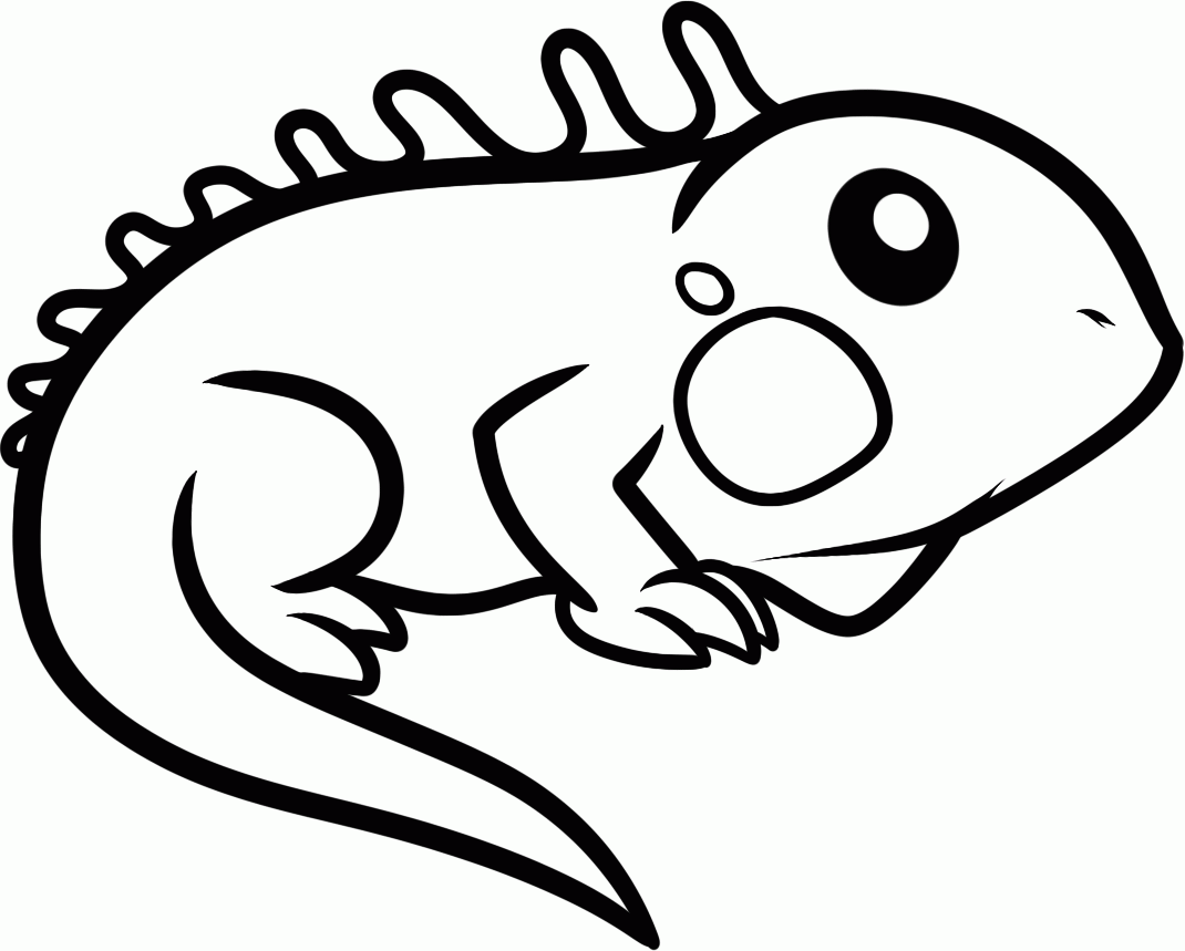 Dibujos para colorear: CAMALEON