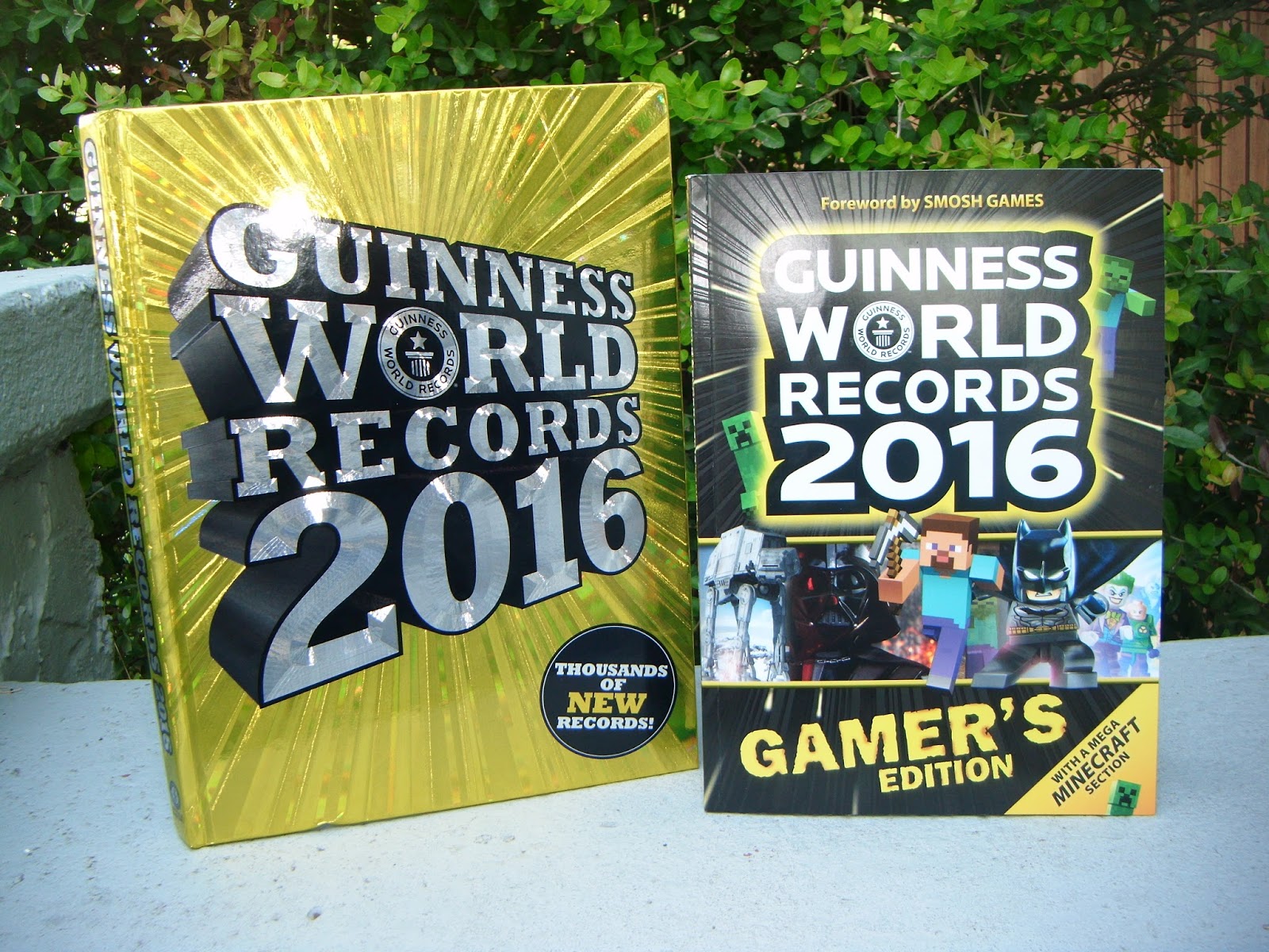 The ABCD Diaries Holiday Gift Idea Guinness World Records 2016