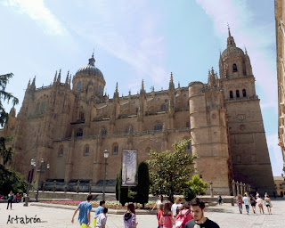 Lateral de la Catedral Nueva o de la Asunción de María vista desde la Plaza de Anaya