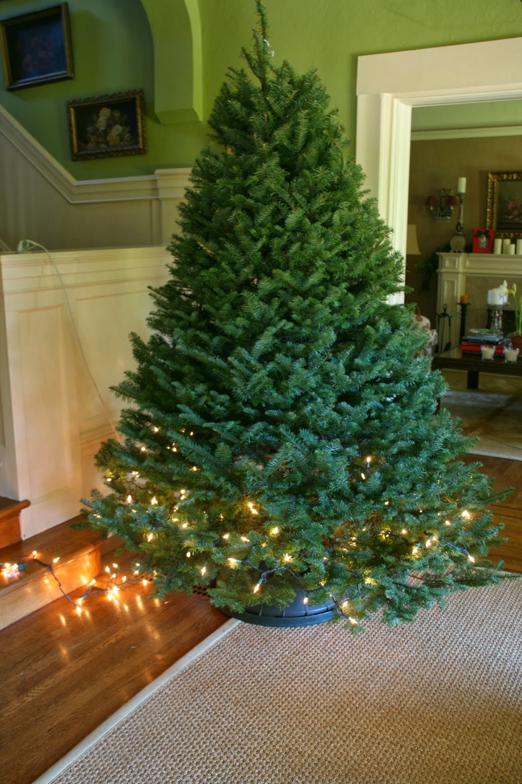 design Our Last Big Christmas Tree