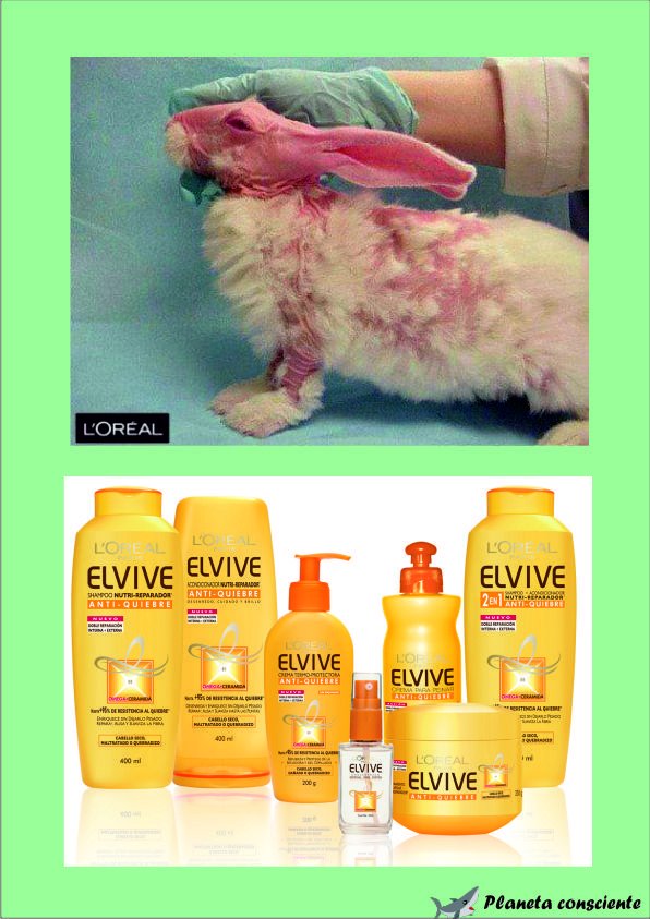 TIME TO CHOOSE EXPERIMENTACIÓN CON ANIMALES CON FINES COSMÉTICOS