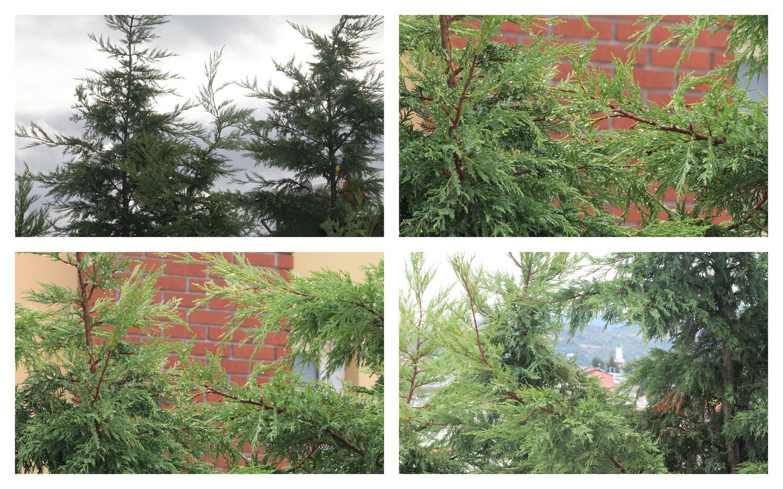 evimi seviyorum..: 10/01/2011 - 11/01/2011