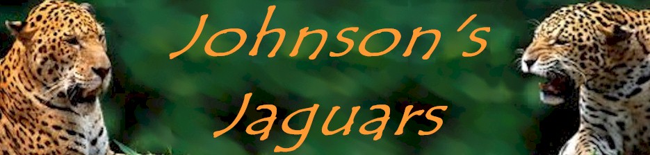 Johnson's Jaguars