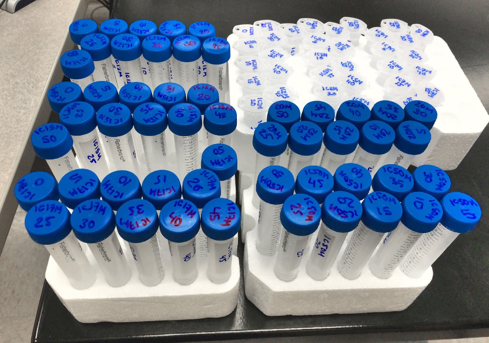 June 5th Lab Work Andresen Lab Blog