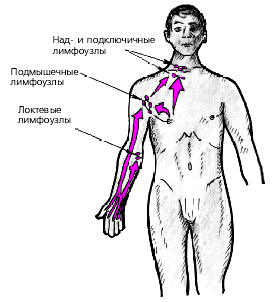 Прическа на новый год для ребёнка Прическа на новый год для ребёнка