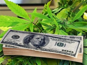 colorado e a legalização da maconha Colorado e a maconha legal