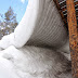 This Snow Melted Off the Cabin Roof in a VERY Strange Way