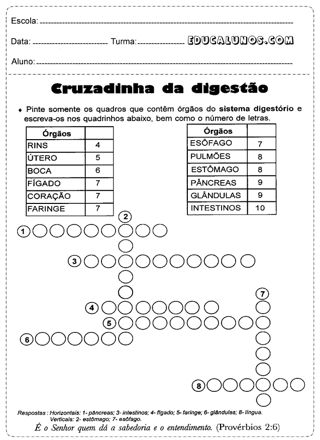 Cruzadinha da digestão
