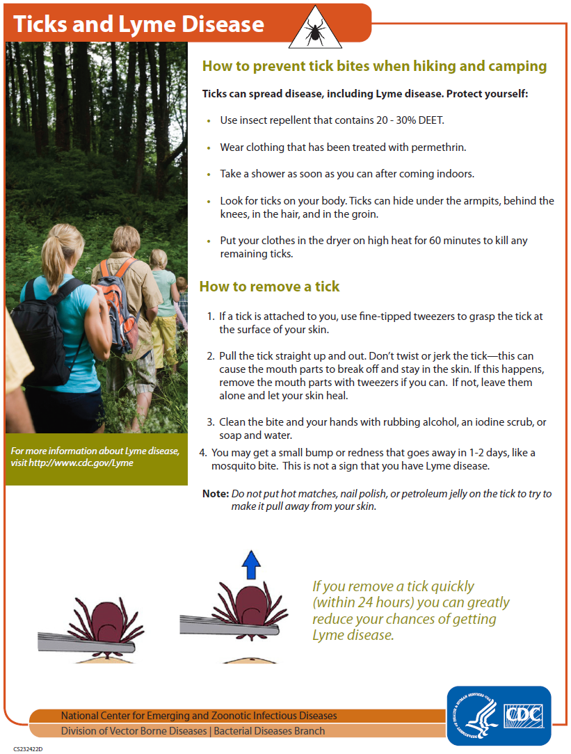 The Spec Ops Blog TICKS How to prevent tick bites in the bush, and how to remove them