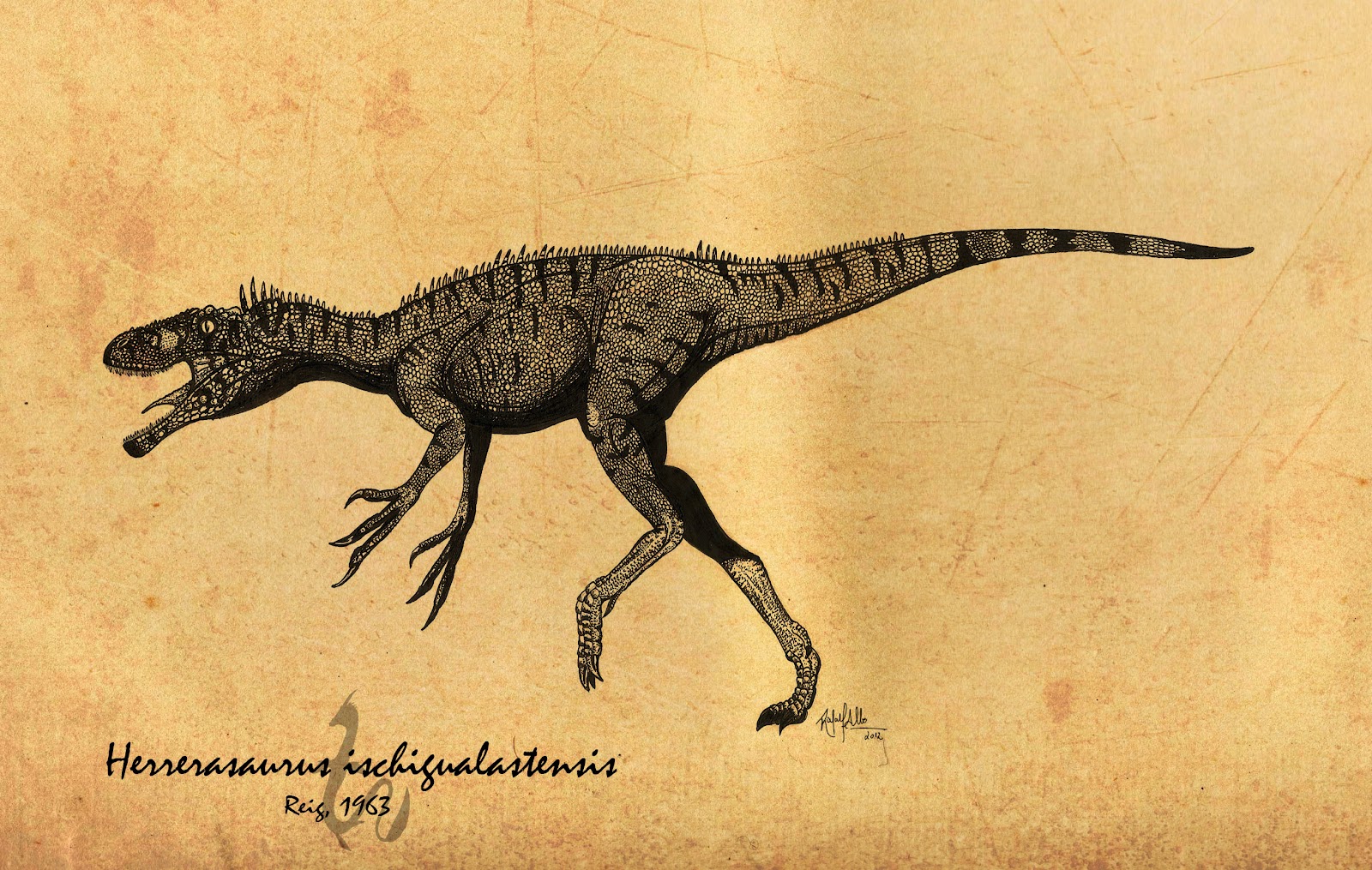 Infinite Machine Dinosaur of the Day “Herrerasaurus...