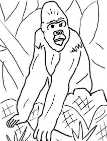 ANIMALS COLORING PAGES: Gorilla Coloring Pages To Kids