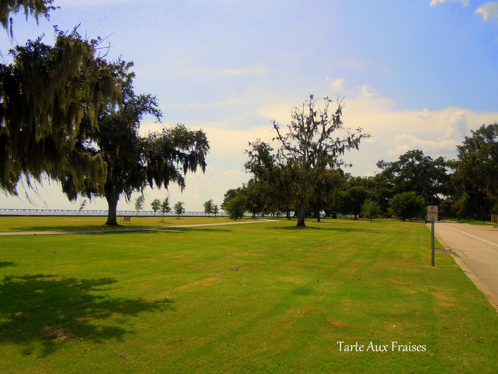 Tarte Aux Fraises Mandeville Lakeshore Drive Louisiana