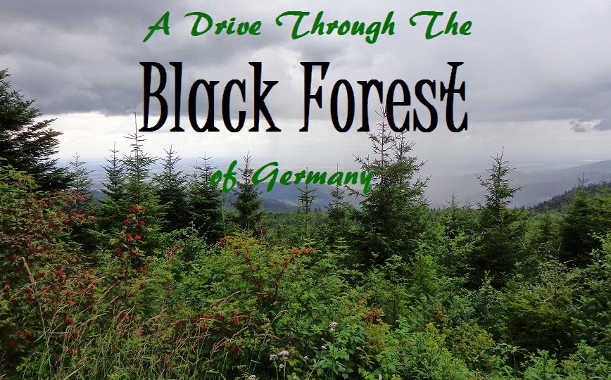 The Thrifty Gypsy's Travels A Drive Through the Black Forest