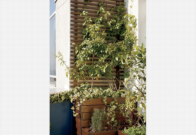 trelica jardim madeira:treliça de ipê, escurecida com betume e envernizada com seladora trelica jardim madeira:treliça de ipê, escurecida com betume e envernizada com seladora