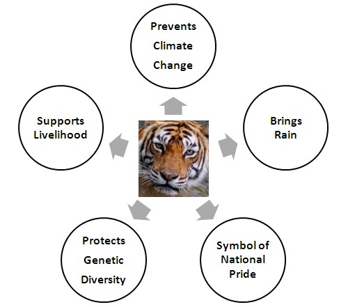 Save Tigers- Our National Pride
