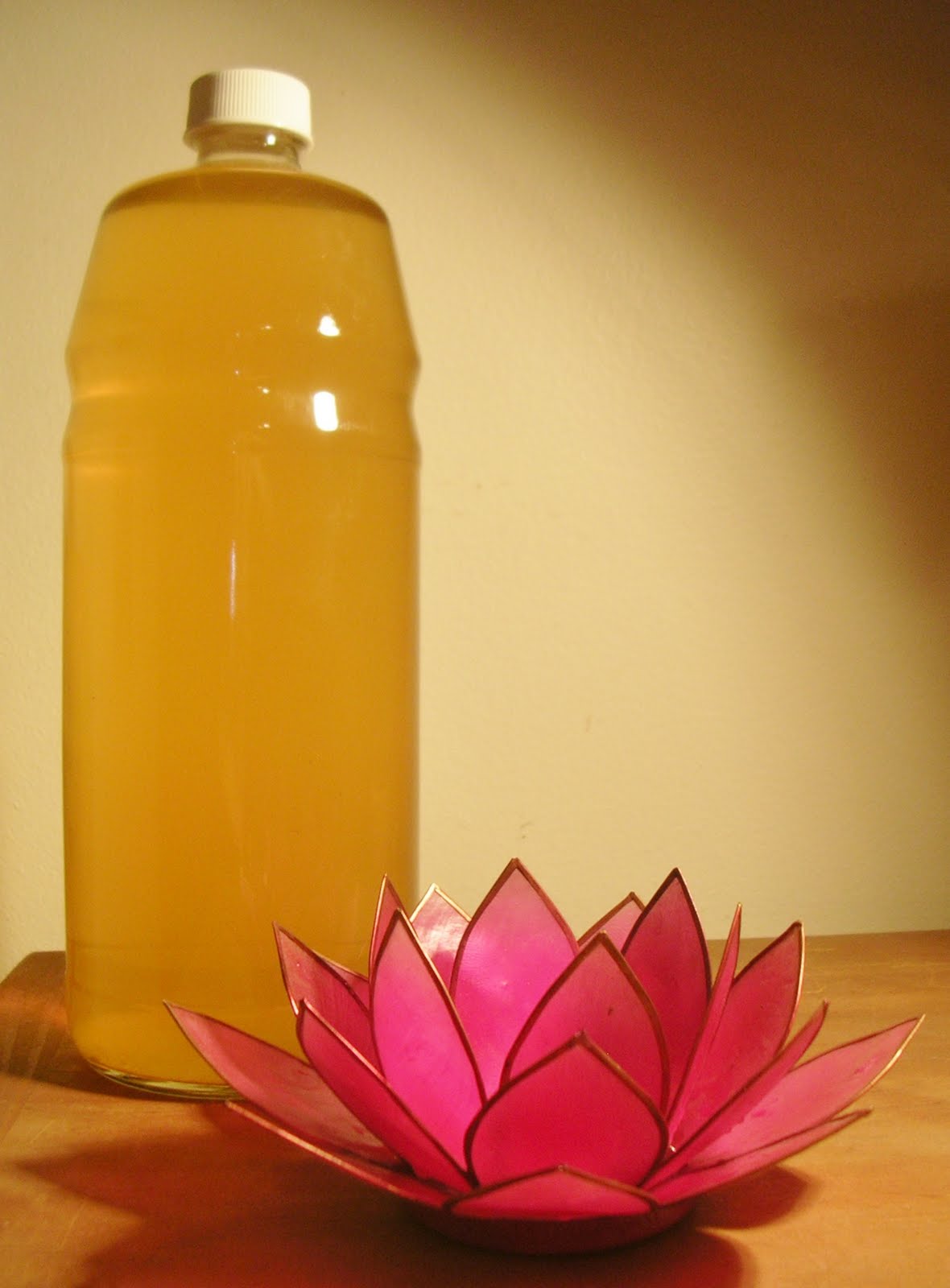 joy kombucha How to use your Kombucha Tea Starter Kit