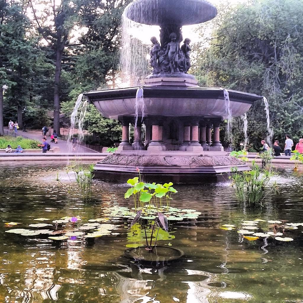 Central Park Fountains
