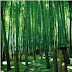 Places to go at Kamakura
