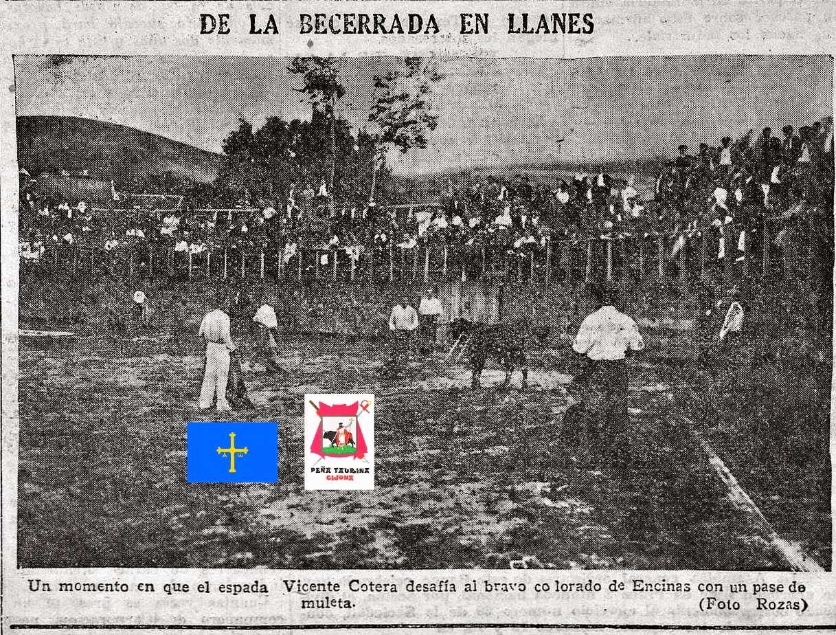 LLANES TOROS