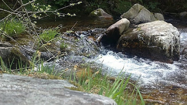 RIO BOEZA A SU PASO POR LA CAMPA DE SANTIAGO