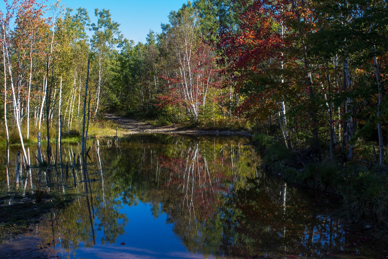 OFF THE BEATEN PATH Mountain Road Fredericton NB