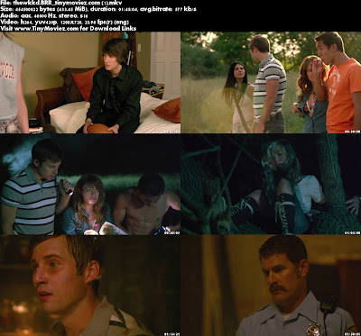The Wicked (2013) 720p BRRip 400MB