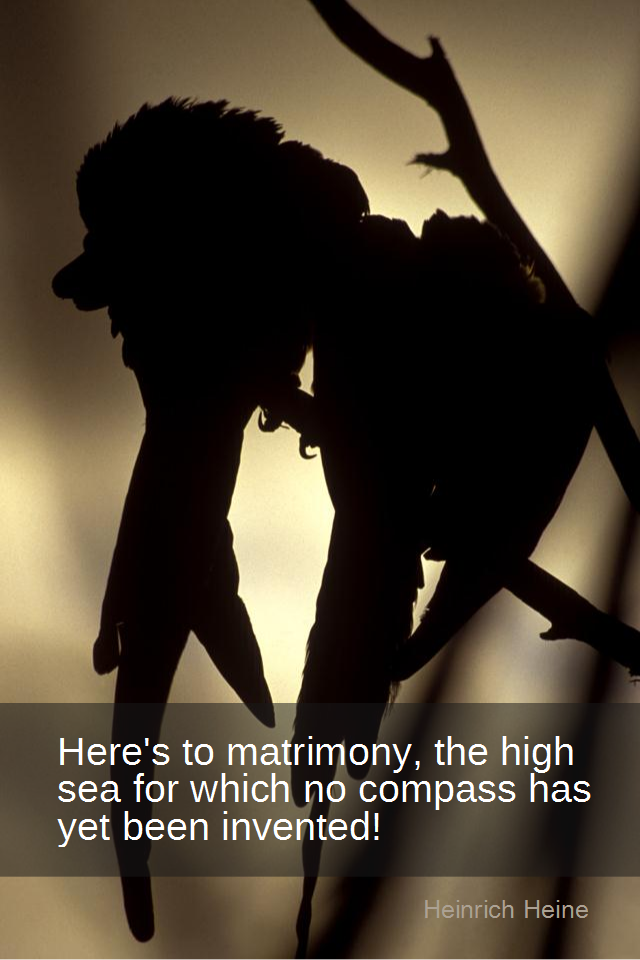 visual quote - image quotation for MARRIAGE - Here's to matrimony, the high sea for which no compass has yet been invented! - Heinrich Heine