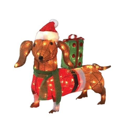 The Long and Short of it All: A Dachshund Dog News ...