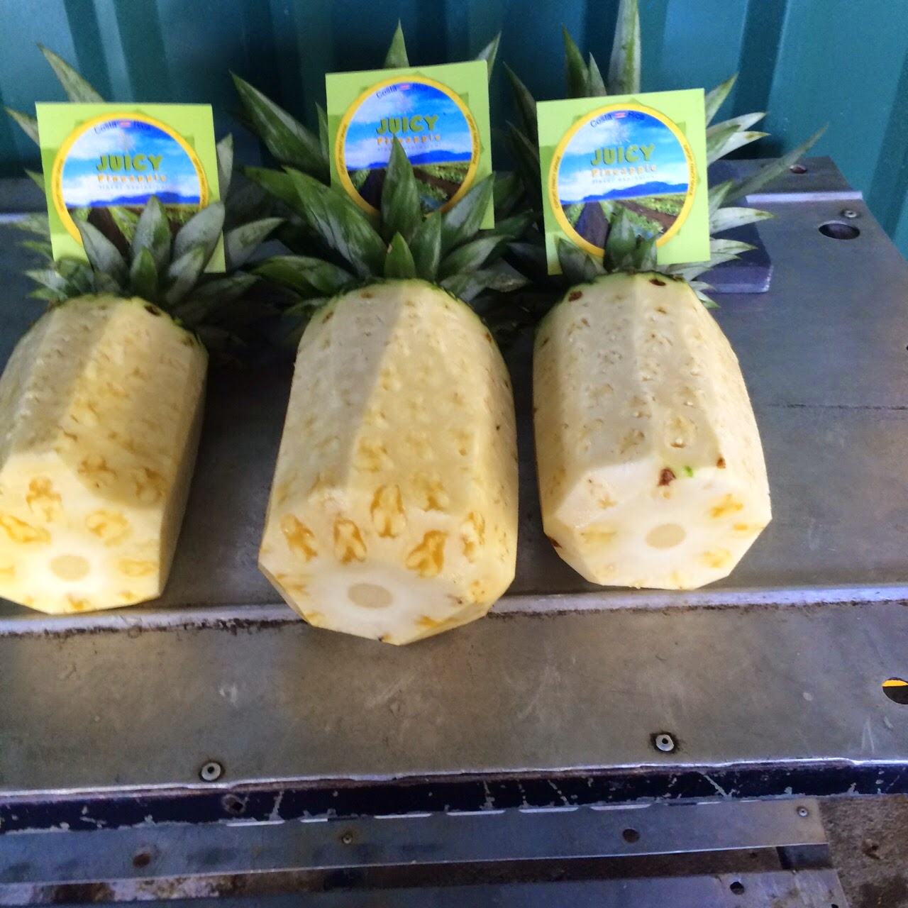 Costa Rica Invest Packing Pineapple into Shipping Containers