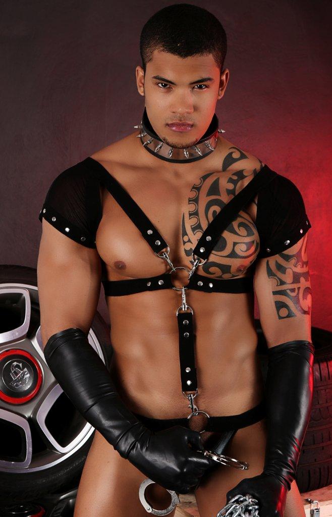 gay black cock gay stories free gallery of male gay nude photo