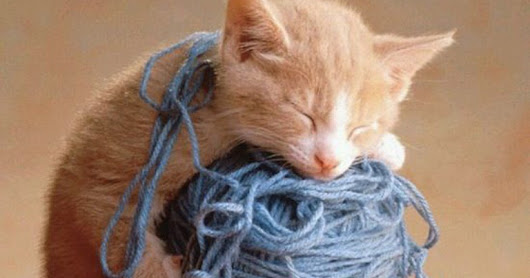 Dear Dr B: Why not string theory?