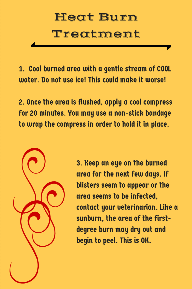 Bark City Doggy Daycare Treating Burns on Dogs