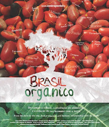 Capa do Filme Brasil Orgânico (Nacional) Baixe imagem de Brasil Orgânico (Nacional) sem Torrent