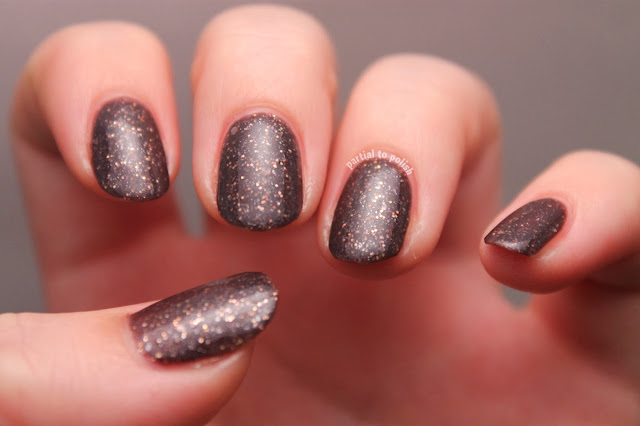 Northern Star Polish Bronzite