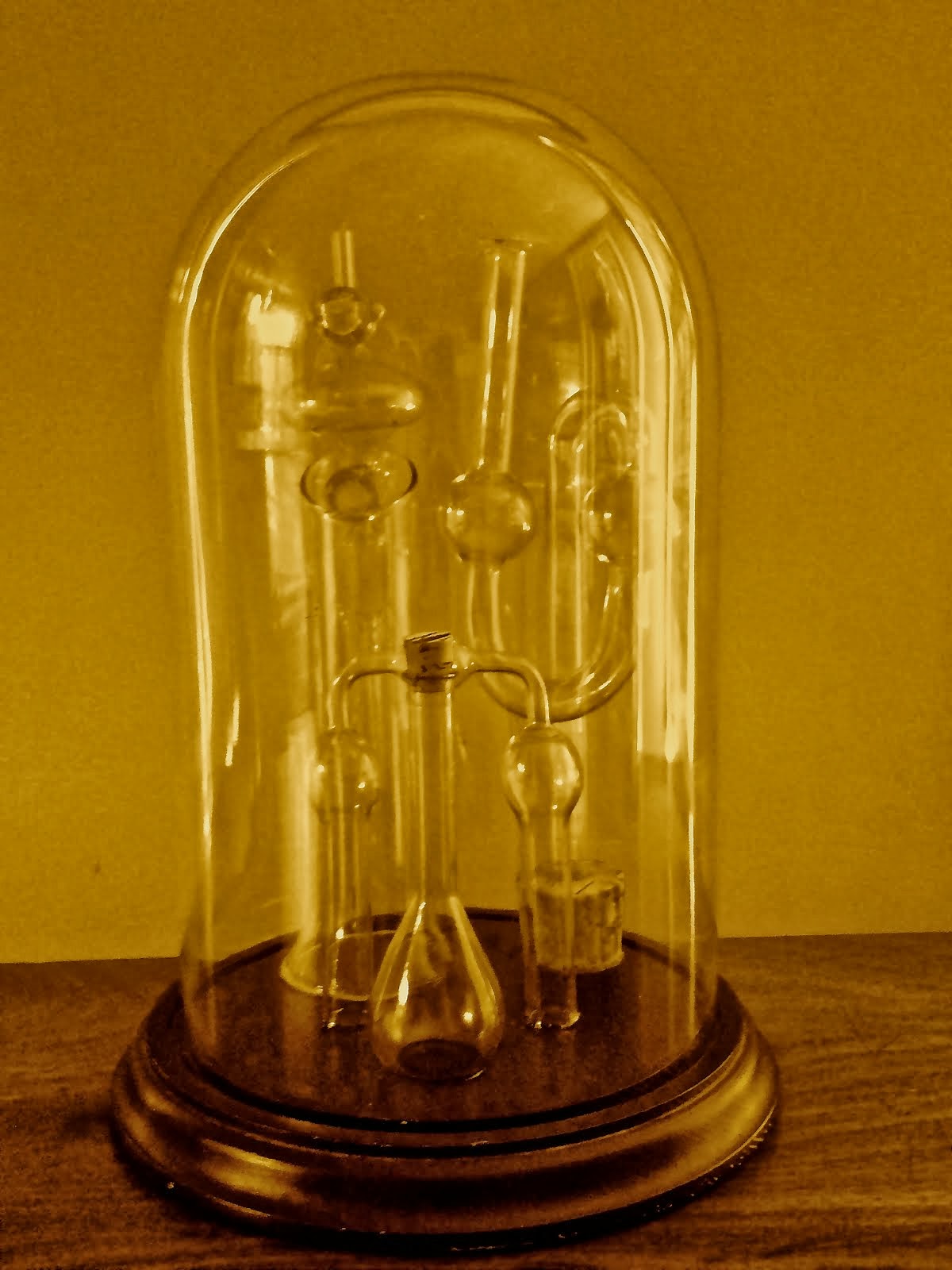 Laboratory glass cloche