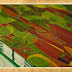 Workbook Amazonas